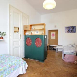 Pronájem pokoje 28 m² Brno Veveří, Gorkého