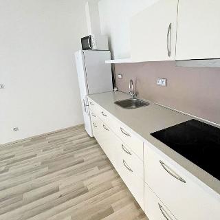 Pronájem bytu 1+kk a garsoniéry 35 m² Moravany, 