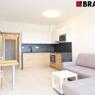 Pronájem bytu 1+kk a garsoniéry 34 m² Brno, Vídeňská