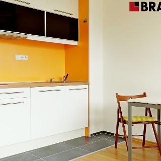 Pronájem bytu 1+kk a garsoniéry 38 m² Brno, 