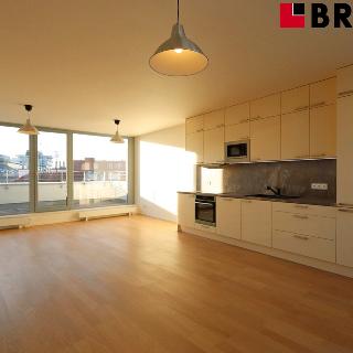 Pronájem bytu 3+kk 113 m² Brno, Mlýnská