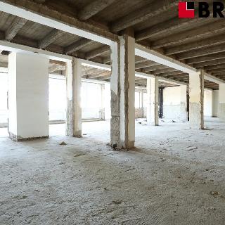 Pronájem ostatního komerčního prostoru 352 m² Brno, Vídeňská