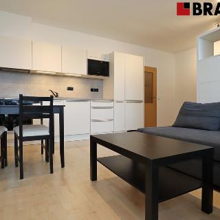 Pronájem bytu 1+kk, garsoniery 40 m² Brno