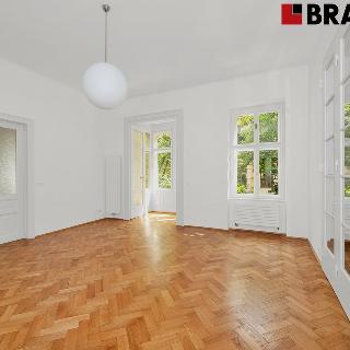 Pronájem kanceláře 247 m² Brno