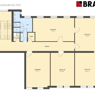 Pronájem kanceláře 128 m² Brno, Křenová