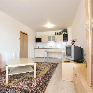 Pronájem bytu 1+kk a garsoniéry 40 m² Brno, Bělohorská