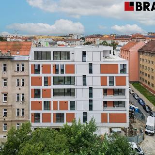 Prodej bytu 1+kk a garsoniéry 30 m² Brno, 