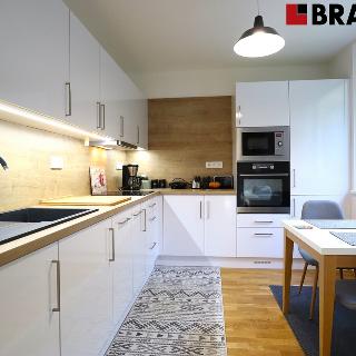 Pronájem bytu 2+1 58 m² Brno, Borodinova