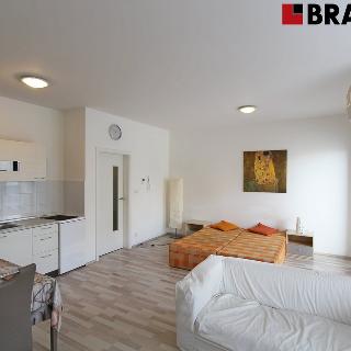 Pronájem bytu 1+kk a garsoniéry 40 m² Brno, Kigginsova