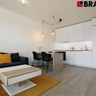 Pronájem bytu 2+kk 46 m² Brno, Karla Kryla