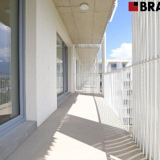 Pronájem bytu 2+kk 54 m² Brno