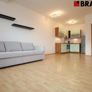 Pronájem bytu 2+kk 47 m² Brno, Místní