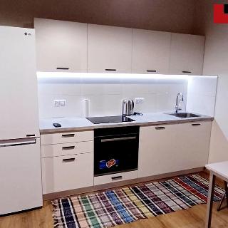 Pronájem bytu 1+kk a garsoniéry 35 m² Brno, Bohunická