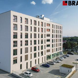 Prodej bytu 1+kk a garsoniéry 35 m² Brno, Bohunická