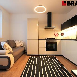 Pronájem bytu 2+kk 35 m² Brno, Žitná