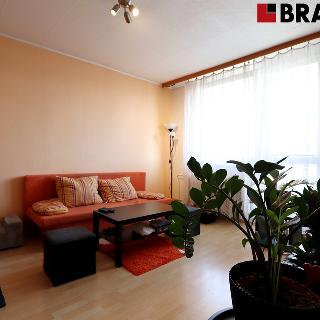 Pronájem bytu 2+1 55 m² Brno, Fričova