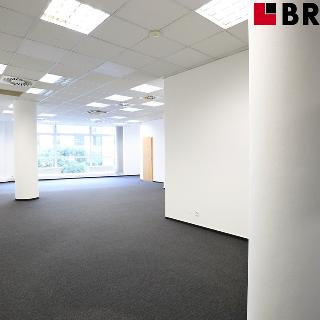 Prodej ostatního komerčního prostoru 100 m² Brno, Příkop