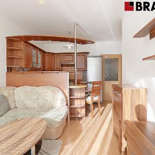 Pronájem bytu 2+kk 45 m² Brno, Moutnická