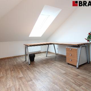 Pronájem kanceláře 45 m² Brno, Sokolova