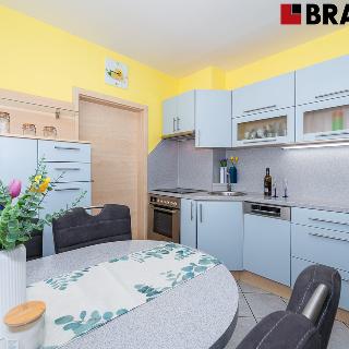 Prodej bytu 3+1 65 m² Brno, Herčíkova