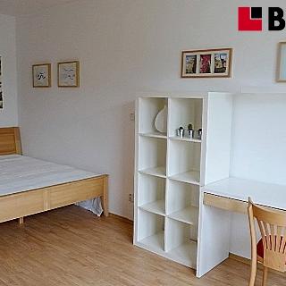 Pronájem bytu 1+1 38 m² Brno, Zderadova