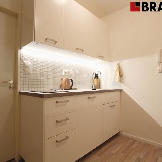 Pronájem bytu 1+kk a garsoniéry 22 m² Brno, Libušino údolí