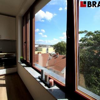 Pronájem bytu 1+kk a garsoniéry 22 m² Brno, Francouzská