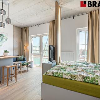 Prodej bytu 1+kk a garsoniéry 35 m² Brno, Bohunická