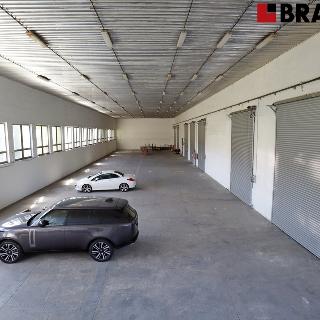 Pronájem skladu 880 m² Brno, Saidova