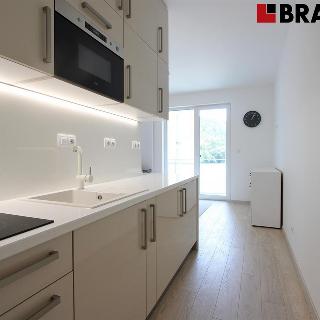 Pronájem bytu 1+kk a garsoniéry 26 m² Brno, Poříčí