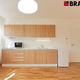 Pronájem bytu 1+kk a garsoniéry 36 m² Brno, Zelný trh