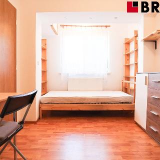 Pronájem bytu 1+kk a garsoniéry 17 m² Brno, Barvičova