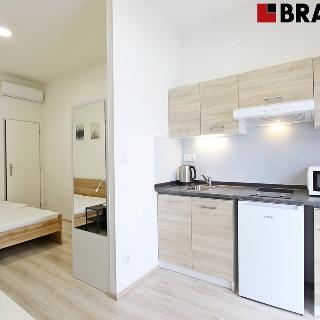 Pronájem bytu 1+kk a garsoniéry 19 m² Brno, Václavská