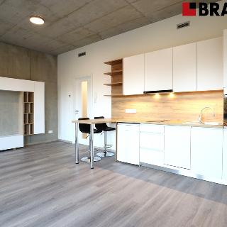 Pronájem bytu 1+kk a garsoniéry 35 m² Brno, Bohunická