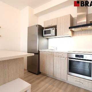 Pronájem bytu 1+kk a garsoniéry 44 m² Brno, Kamínky