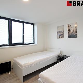 Pronájem bytu 2+1 33 m² Brno, Václavská