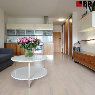 Pronájem bytu 1+kk a garsoniéry 43 m² Brno, 