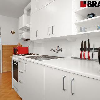 Prodej bytu 2+1 58 m² Brno, Vyškovská