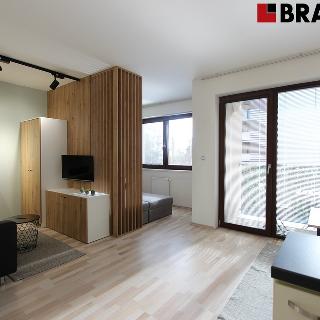 Pronájem bytu 1+kk a garsoniéry 35 m² Brno, Řípská