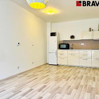 Pronájem bytu 1+kk a garsoniéry 35 m² Moravany, 