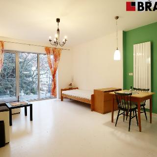 Pronájem bytu 1+kk a garsoniéry 37 m² Brno, Kamenná