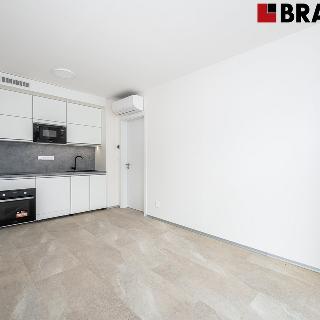 Pronájem bytu 3+kk 47 m² Brno, Příkop