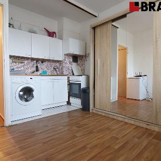 Pronájem bytu 1+1 35 m² Brno, Palackého třída