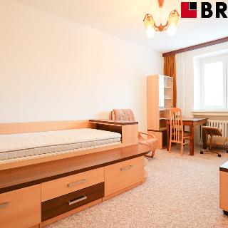 Pronájem bytu 1+1 35 m² Brno, Mášova