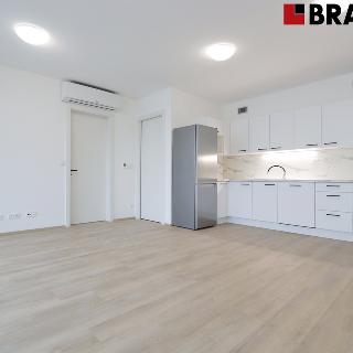 Pronájem bytu 2+kk 55 m² Brno, Nové sady