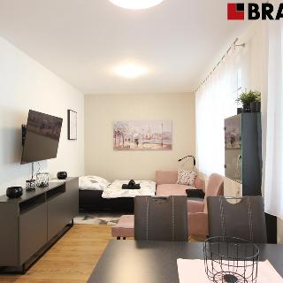 Pronájem bytu 2+kk 50 m² Slavkov u Brna, Kaunicova