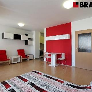 Pronájem bytu 1+kk a garsoniéry 42 m² Brno, Dusíkova