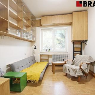 Pronájem bytu 2+kk 37 m² Brno, Příční