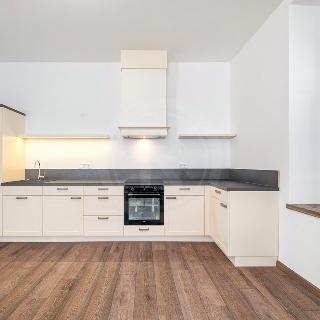 Prodej bytu 3+kk 61 m² České Budějovice, Riegrova