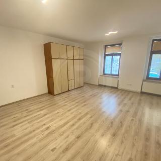 Prodej bytu 3+1 80 m² České Budějovice, Žižkova tř.